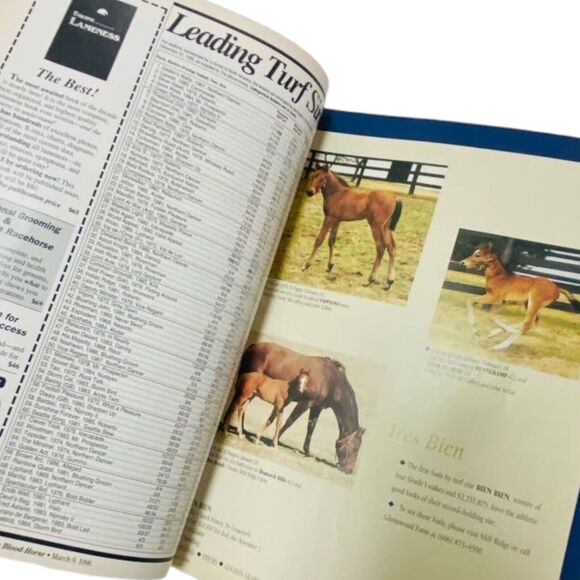 The Blood-Horse Magazine Lot 1995-2003 Thoroughbred Horse Racing Back Issues - Picture 9 of 13